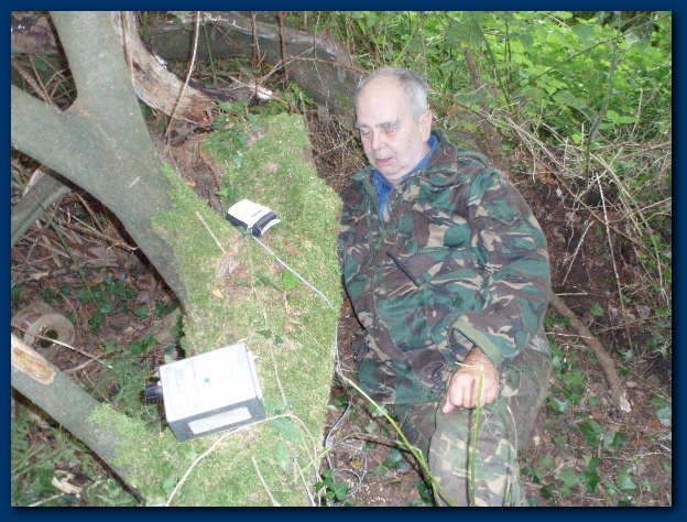 600x449 pixels (185K)